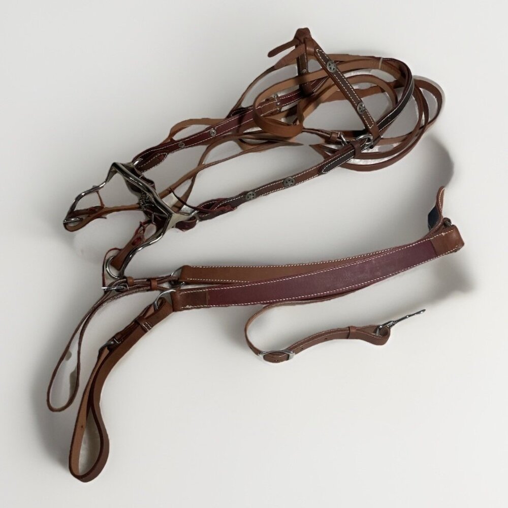 NEW Leather Horse/Pony Headstall Bridle Halter Combo w/ Martingale Beige Tack